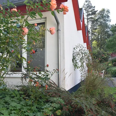 Spacious In With Garden Holiday home